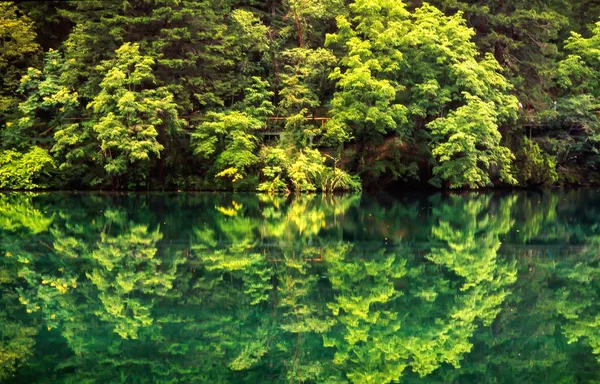 Bella Scena Naturale Con Foresta Acqua Calma Nella Provincia Jiuzhaigou — Foto Stock