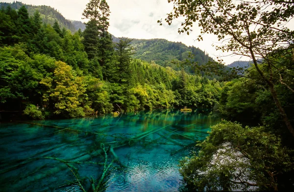 Incrível Paisagem Com Calmo Lago Azul Vegetação Verde Nas Montanhas — Fotografia de Stock
