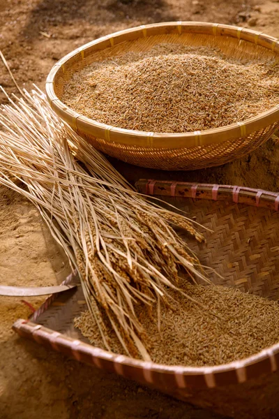High Angle View Dry Plants Baskets Brown Rice — Stock Photo, Image