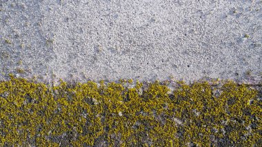 duvarlar, beton, arka planlar, doku tasarımı için çimento