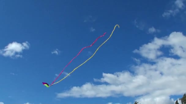 Volando Una Cometa Fuerte Viento Fondo Una Cometa Vuela Alto — Vídeos de Stock