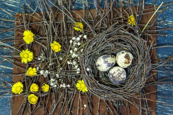 Ovos em ninho, vista superior, fundo e espaço de cópia — Fotografia de Stock