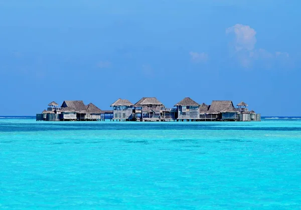 Sueños Vacaciones Maldivas Mar Maravilloso Gente Agradable — Foto de Stock