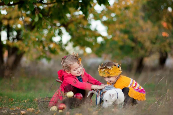 Parktaki Küçük Kızlar Köpekle Oynuyorlar — Stok fotoğraf