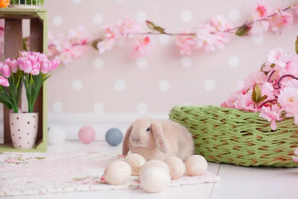 Fondo de Pascua —  Fotos de Stock