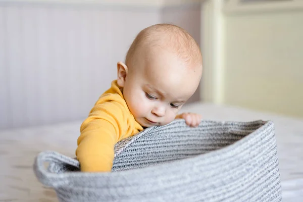 Kid Boy Looking Basket — Stock Photo, Image