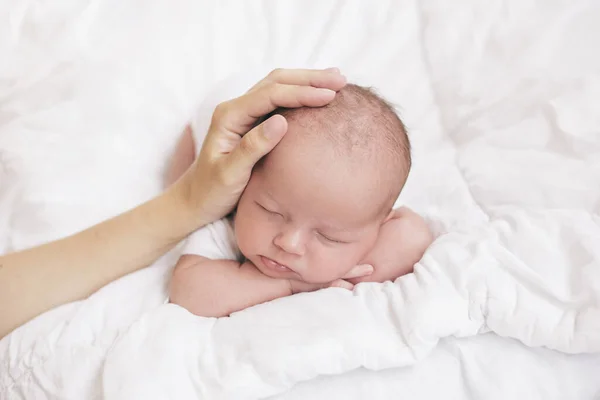 Moeders Handen Het Hoofd Van Een Pasgeboren Baby — Stockfoto