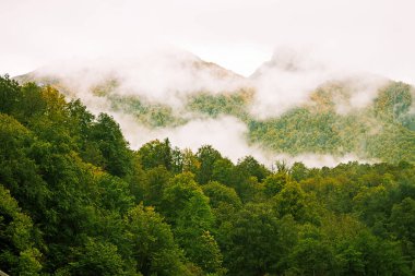 Krasnodar bölgesi, Sochi. Rosa Khutor. Dağlar.