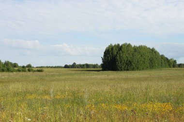 Çimenli çayırlar, Kirov bölgesi.