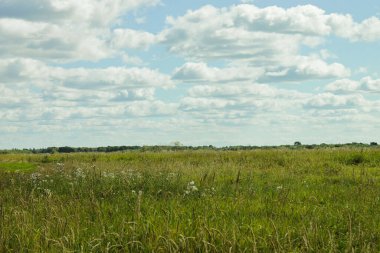 Çimenli çayırlar, Kirov bölgesi.