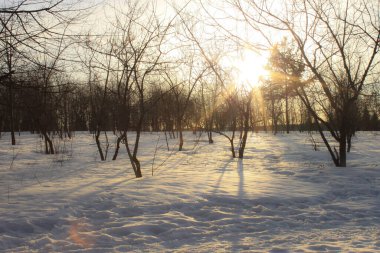 Parkta kış gün batımı.