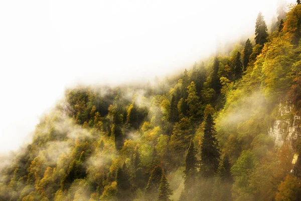 Krasnodar bölgesi. Sochi, Rosa Khutor. Dağlar.