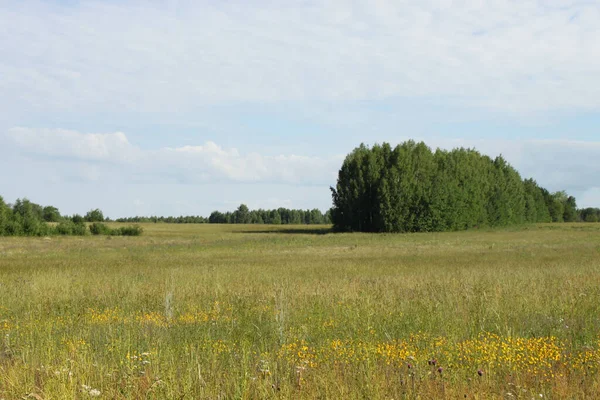 Çimenli çayırlar, Kirov bölgesi.