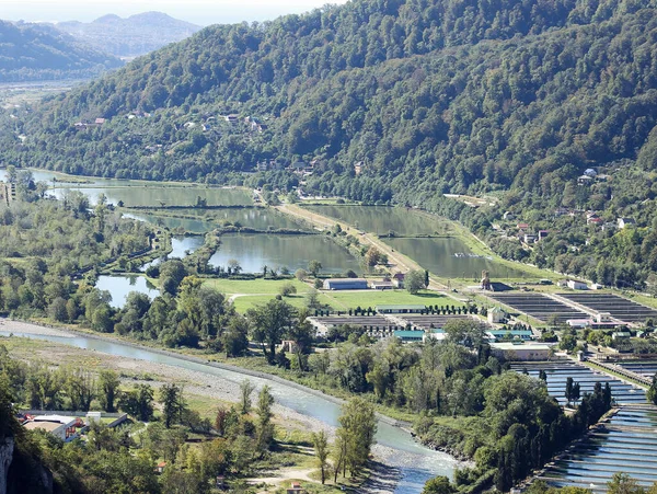 Krasnodar bölgesi, Sochi. Alabalık çiftliği.