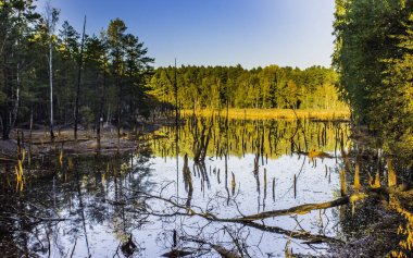 Muskau bir babina maden - eski açık döküm - geo park - kemer benim - muzakow, leknica, yeni balıkçıllar