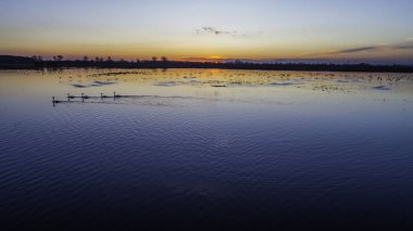 Gün batımında önemsizden hayvanlar