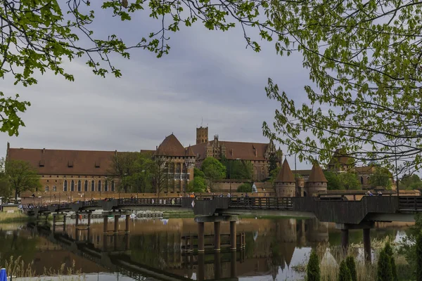 Malbork Río Nogat Castillo Ladrillo Medieval Más Grande — Foto de Stock