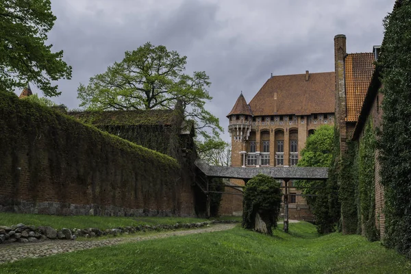 Malbork Río Nogat Castillo Ladrillo Medieval Más Grande — Foto de Stock