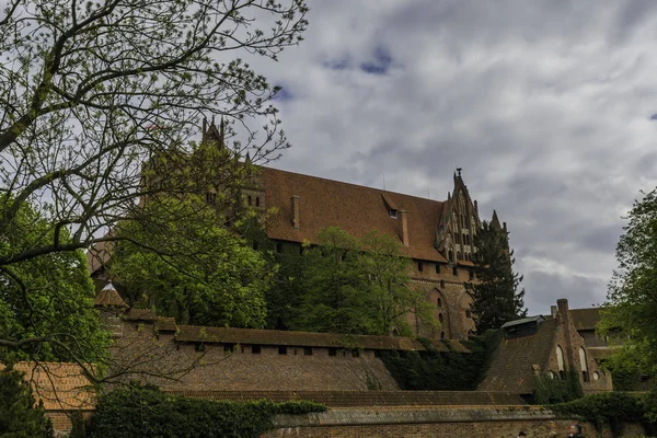 Malbork Sur Rivière Nogat Grand Château Médiéval Brique — Photo