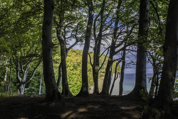 Chalk Útesy Rugen Island Obrovské Balvany Baltském Moři Národní Park — Stock fotografie