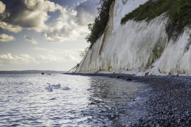 Rugen Adası 'nın Tebeşir Kayalıkları, Baltık Denizi' ndeki Dev Kayalar, Jasmund Ulusal Parkı, Rugen Adası, Rgen