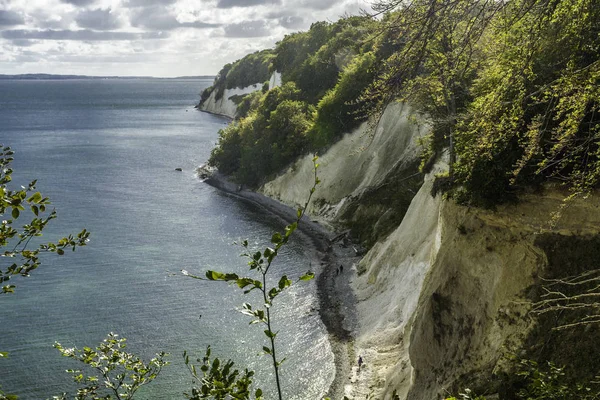 Rugen Adası 'nın Tebeşir Kayalıkları, Baltık Denizi' ndeki Dev Kayalar, Jasmund Ulusal Parkı, Rugen Adası, Rgen