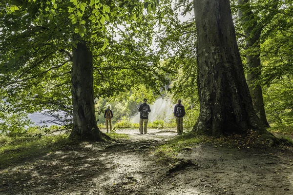 Die Kreidefelsen Der Insel Rügen Riesige Felsbrocken Der Ostsee Jasmund — Stockfoto