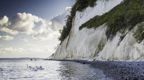 Rugen Adası 'nın Tebeşir Kayalıkları, Baltık Denizi' ndeki Dev Kayalar, Jasmund Ulusal Parkı, Rugen Adası, Rgen