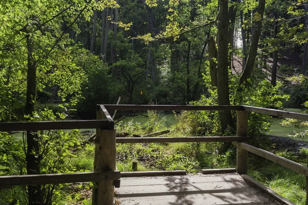 Jasmund Nationalpark Rgen — Stockfoto