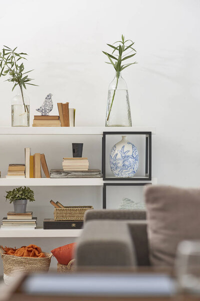 Modern office, meeting room interior with plants and sofa