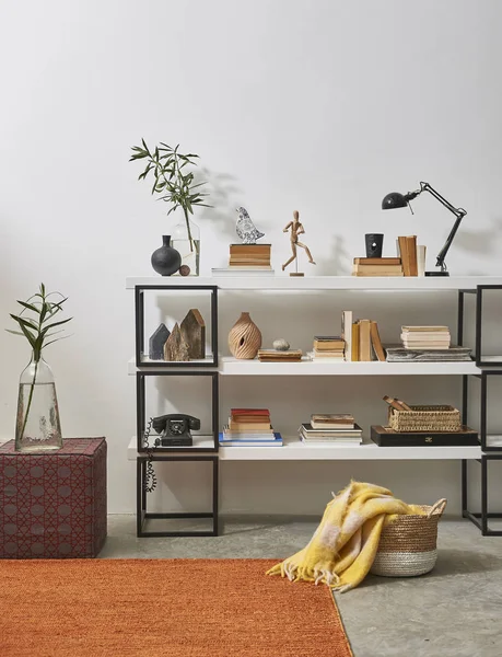 modern bookcase and accessories ,plants in room