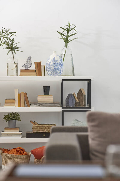 Modern office, meeting room interior with plants and sofa