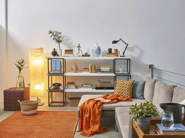 Modernes Bücherregal Und Accessoires Pflanzen Und Sofa Zimmer — Stockfoto