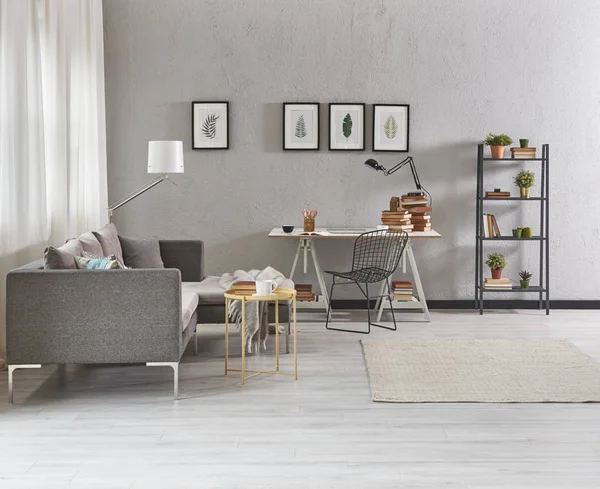 Sala Estar Gris Sofá Muebles Grises Decoración Casera Moderna Fotografías — Foto de Stock