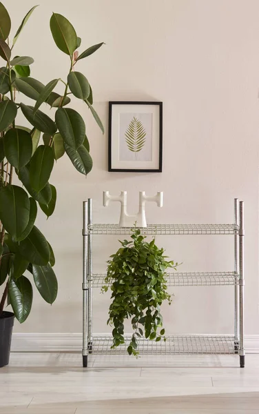 Grey wallpaper and botanic plants in  interior with table