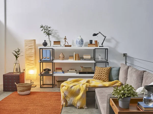 Modern Bookcase Accessories Plants Sofa Room — Stock Photo, Image