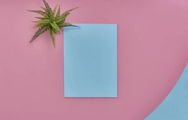 Pink and blue background dark blue frame decoration and plant