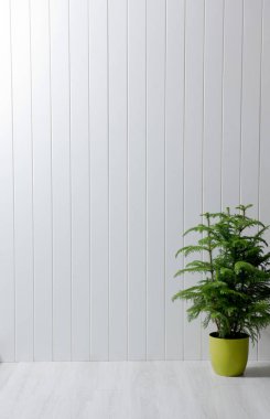 Dekoratif duvar arka plan ve yeşil bitki