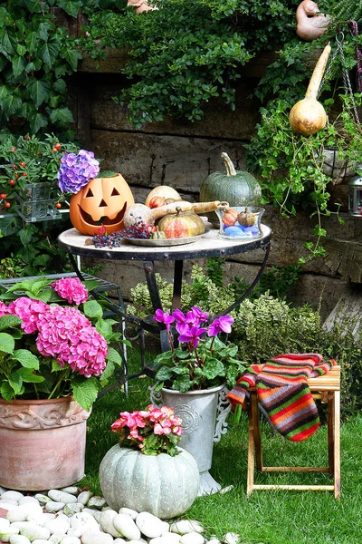 pumpkin pot for  halloween, garden decor and galvanized bucket
