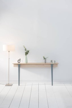 Vazolar ile modern ev ahşap raf