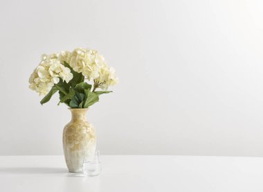 beyaz duvar kağıdı arkasında vazo çiçekler