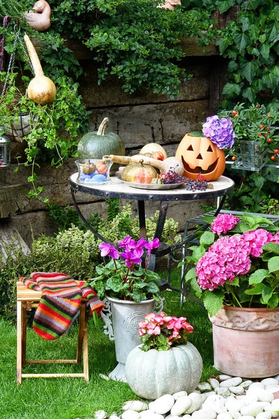 pumpkin pot for  halloween, garden decor and galvanized bucket