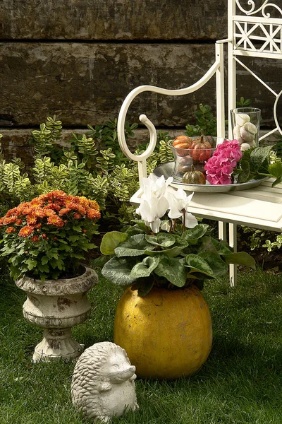 Pumpkin Vase Plant Chair Still Life Decoration — Stock Photo, Image