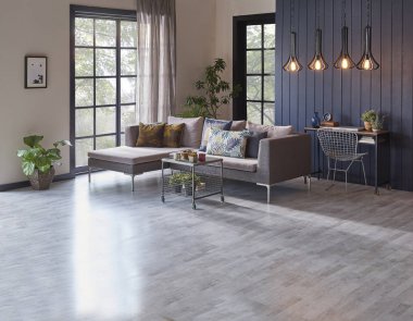 Modern oturma odası ve kanepeli gri duvar. 