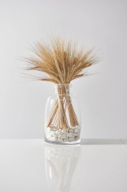 Stalks of wheat in vase on background,close up clipart