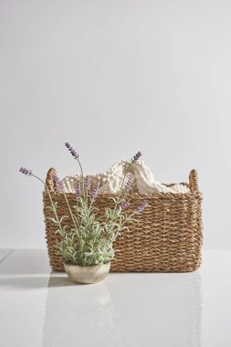 Sağlık kaplıcaları, el havluları ve arka planda çiçekler olan sepet, kapatın.