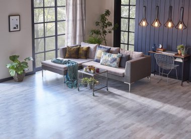 Modern oturma odası ve kanepeli gri duvar. 