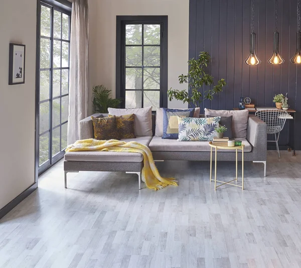 Modern oturma odası ve kanepeli gri duvar. 