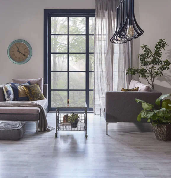 Modernes Wohnzimmer Und Graue Wand Mit Sofa — Stockfoto