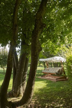 Dekoratif ev bahçesi tarzı, mobilya ve çiçek detayı, durgun hayat..